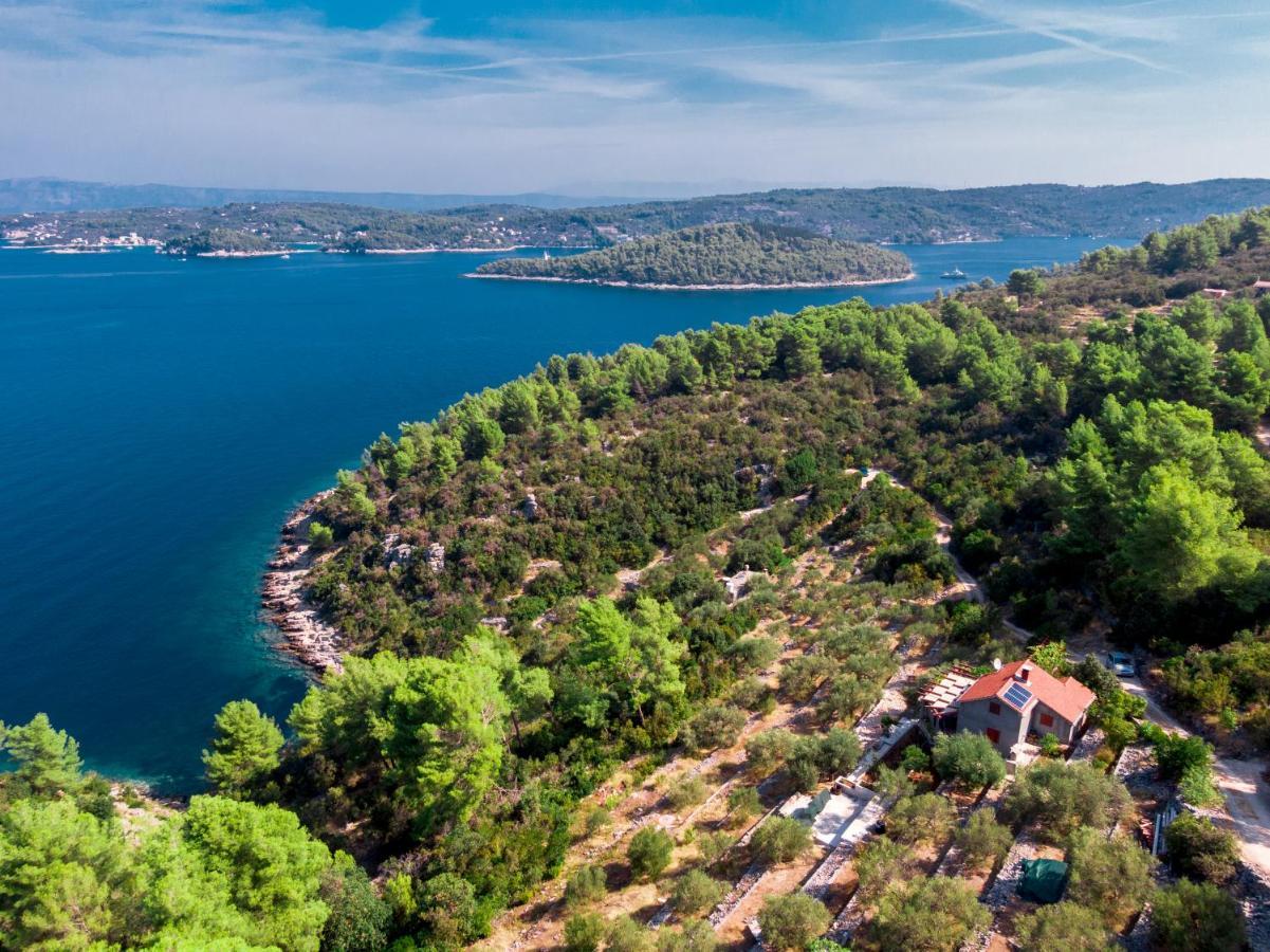 Holiday Home Maslinova Vela Luka Eksteriør billede